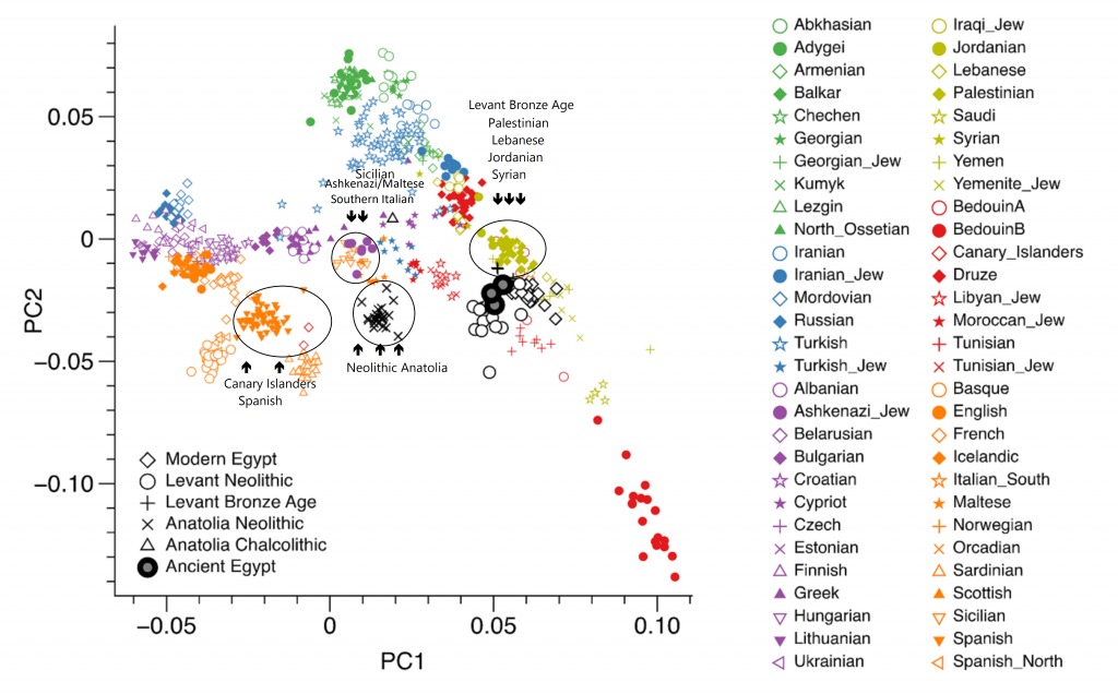 Annotated PCA from Schuenemann 2017 showing Ashkenazi Jews overlapping strongly with southern Italians, Sicilians, and Maltese, positioned near Neolithic and Chalcolithic Anatolians, and clearly separated from Levantine Bronze Age populations; Canary Islanders and Spaniards are shown for comparison and do not overlap with Ashkenazi Jews.